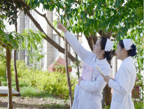 学校五四主题团日暨2025年新团员集中入团仪式简报 